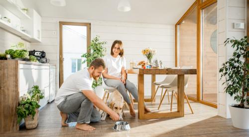 Couple feeding dog in bright room