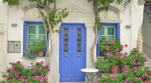 Home with a cheery entry area with potted pelargoniums and a purple door