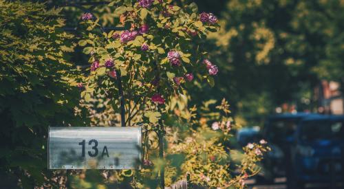 Mailbox with flower bushes