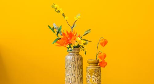 Flowers on table inside yellow room