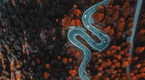 Winding road in the trees