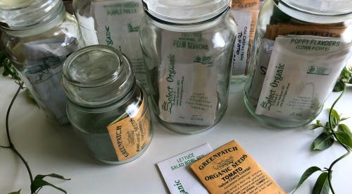 Seeds in jars and on table