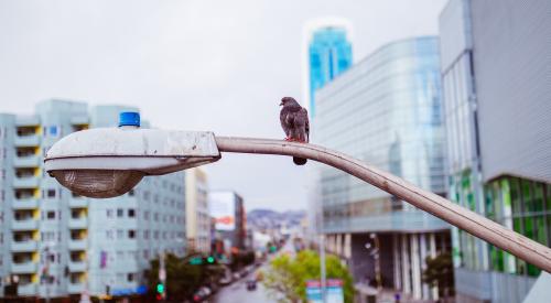 Bird's eye view from lightpost