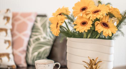 Flowers and books on table in living room