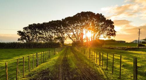 dirt road leading to farm with sun raking through trees