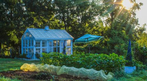 Garden she shed