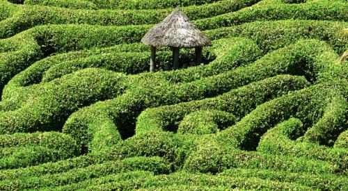 Green maze