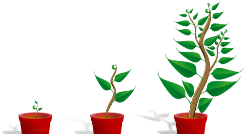 Graphic_image_of_three_potted_plants