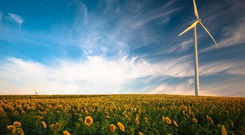 Wind turbine in a field of sunflowers