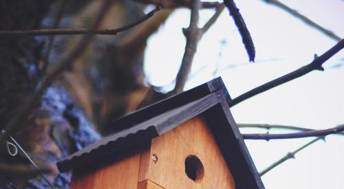 Birdhouse