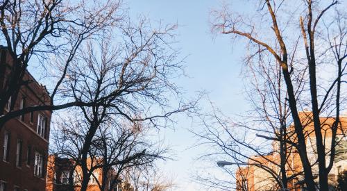 Chicago residential street in winter