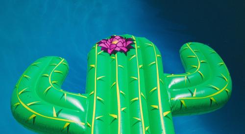 Cactus floaty