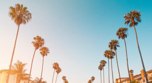 Low-angle shot of California neighborhood