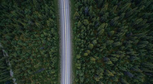 road through forest