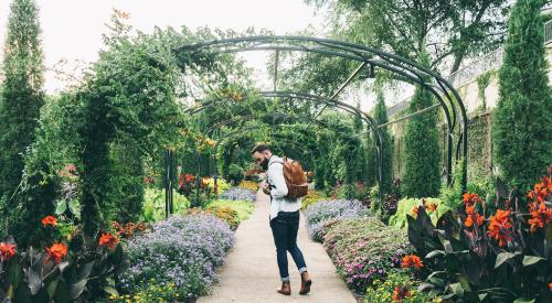 Cheekwood art and gardens, Nashville