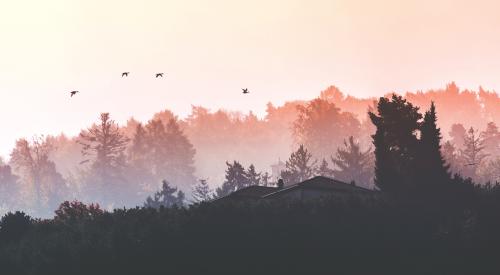 House exterior silhouettes at sunrise near forest