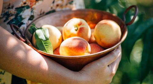 Bowl of peaches