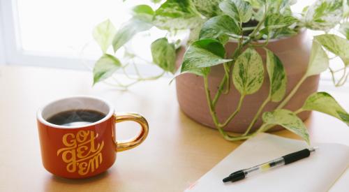 Go Get 'Em mug with house plant and open notebook on table