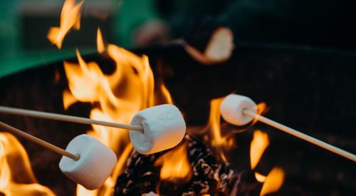 Roasting marshmallows over fire