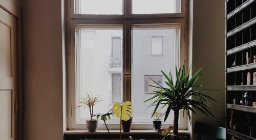 Apartment interior