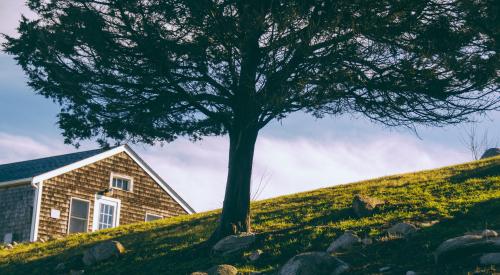 House exterior on side of hill with tree