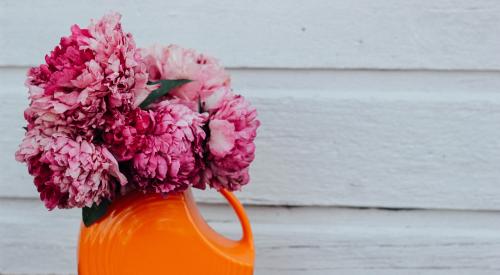 Flowers in a watering container