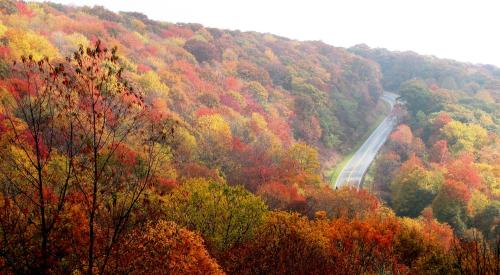 North Carolina