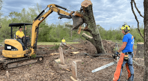 NAHB clearing trees in Mississippi