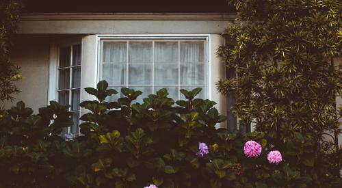 House exterior with hydrangea bush