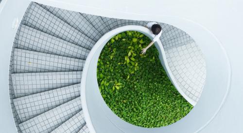 Staircase with green plantings