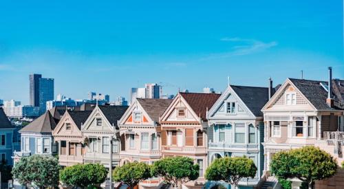 Painted Ladies