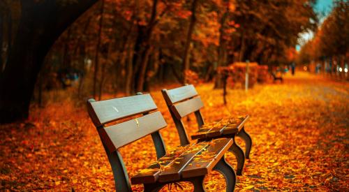 Park bench in a pocket park