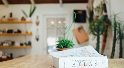 Book on table inside home