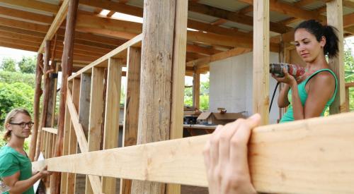 Young people holding up plank for home construction