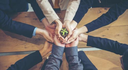 People holding a plant