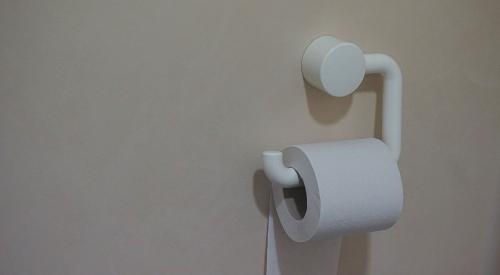 Toilet paper and holder