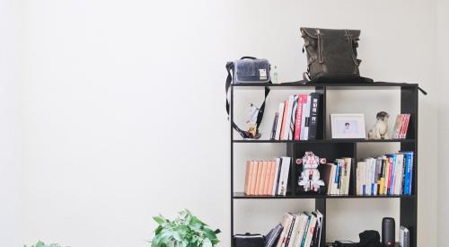 Bookshelf with houseplants