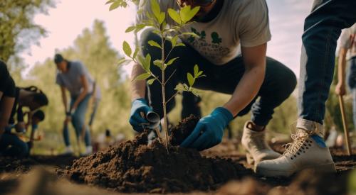 Group of volunteers planting trees