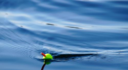 Fishing bobber in the water