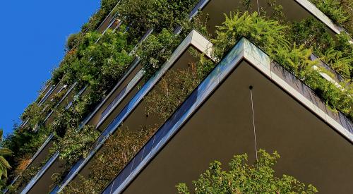 Greenery in a building exterior