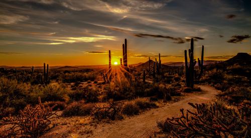 Scottsdale, Ariz.