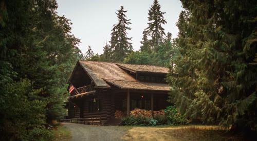 Cabin in the woods