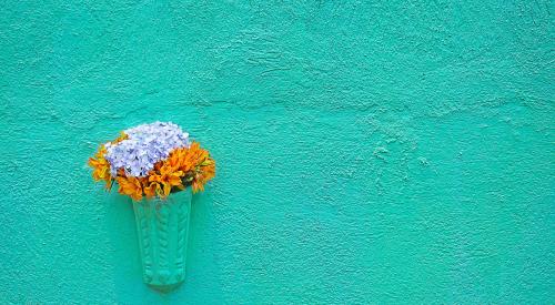 Flowers hanging on a teal wall