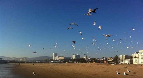 Santa Monica, CA