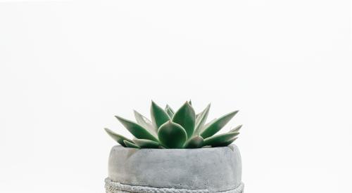 Concrete flower pot