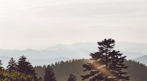 Great Smoky Mountains National Park, United States