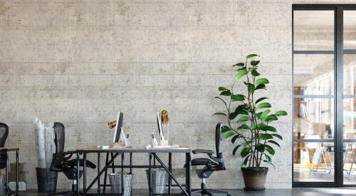 Shared indoor workspace with desks and computers