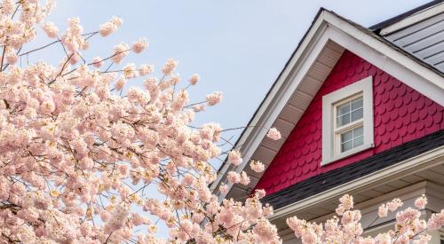 Pink flower blossoms outside a red house