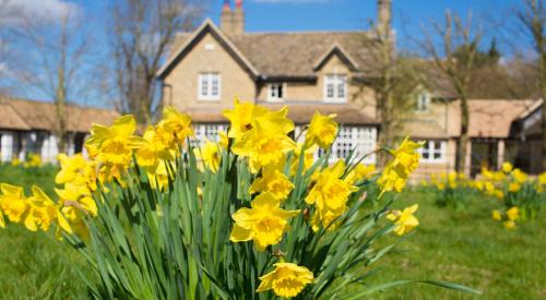 Spring home with flowers