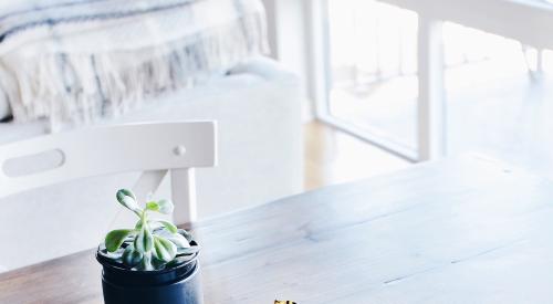 House interior paper and plant and glasses on table